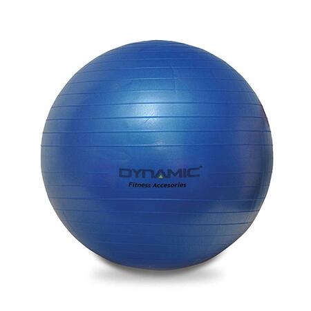 Dynamic Dynamıc Gymball Mavi Unisex Top 1DYAKGYMBALL-MAV-55