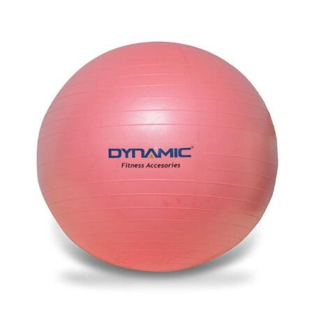 Dynamic Dynamıc Gymball Gri Unisex Top 1DYAKGYMBALL-PEM-65