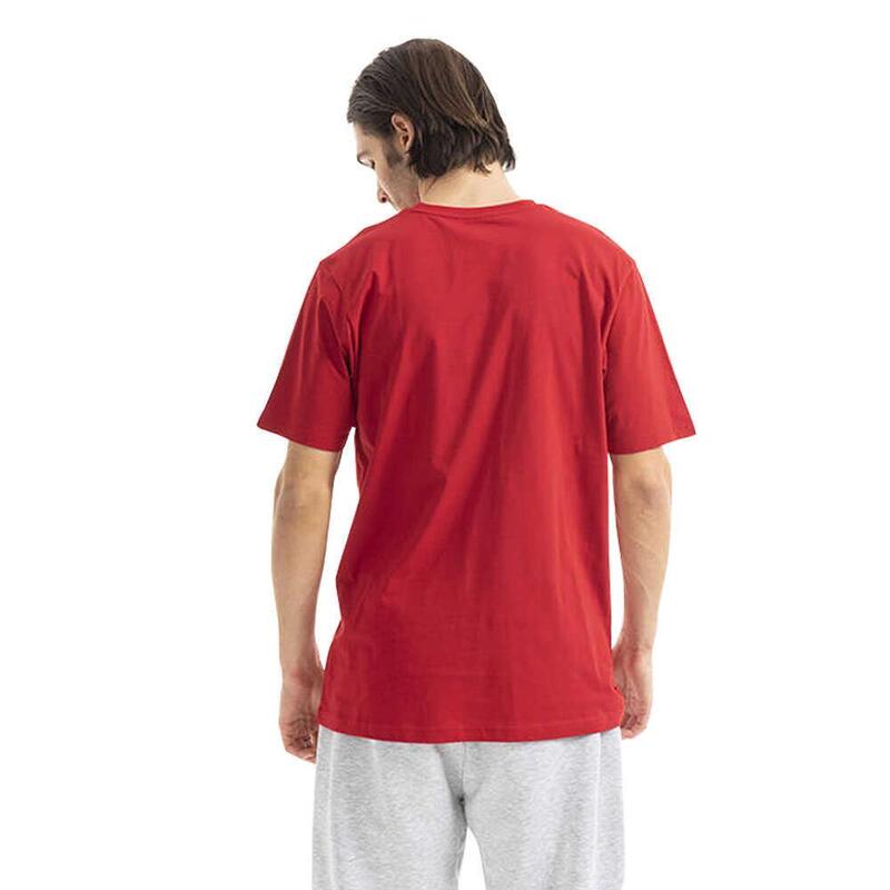 Helly Hansen Helly Hansen Logo T-Shırt Kırmızı Erkek T-Shirt 33979-163 - 3
