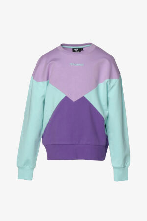 Hummel Hmlpeony Sweatshırt Çocuk Mor Sweatshirt 921730-2221 - 1