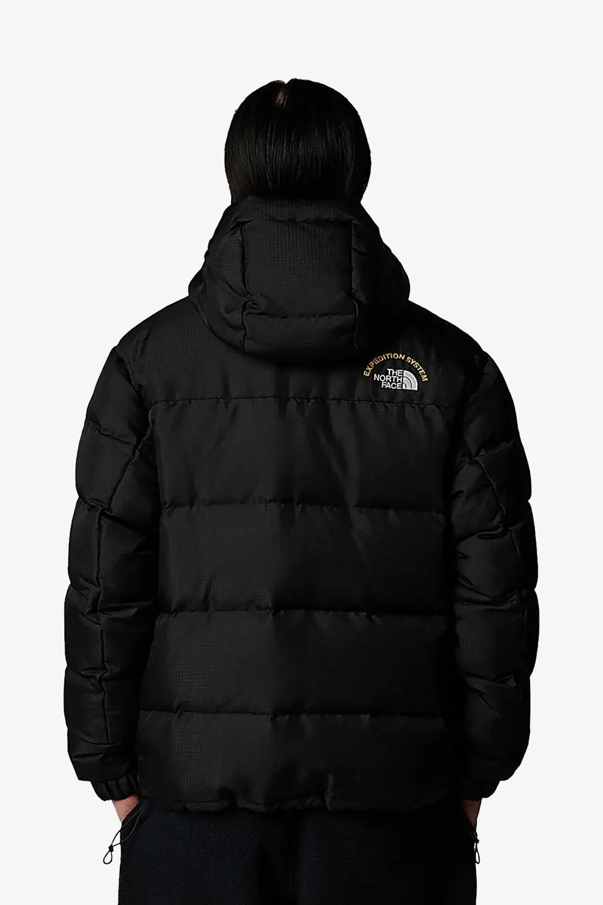 The North Face M Hmlyn 30 Annıversary Erkek Siyah Parka The North Face M Hmlyn 30 Annıversary Erkek Siyah Parka