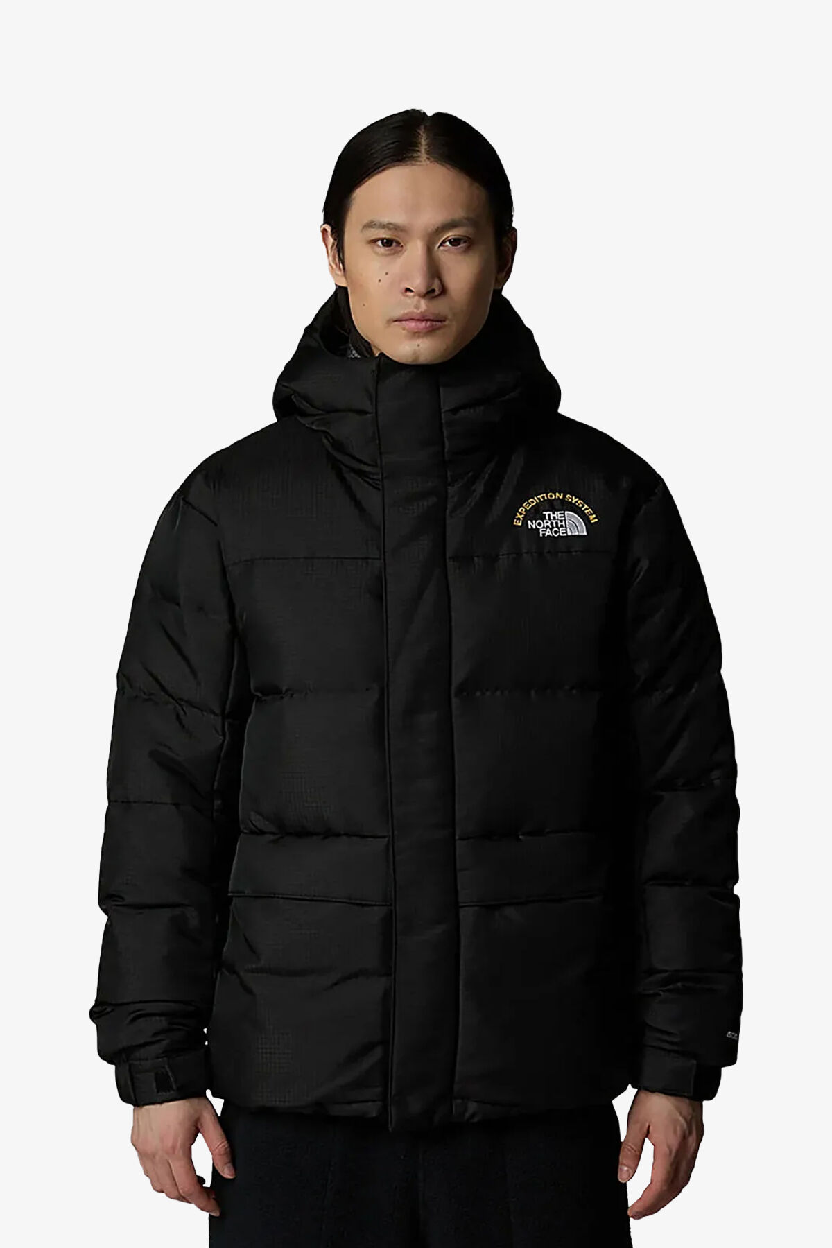 The North Face M Hmlyn 30 Annıversary Erkek Siyah Parka The North Face M Hmlyn 30 Annıversary Erkek Siyah Parka